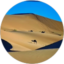 Taresh Alkaabi profile picture